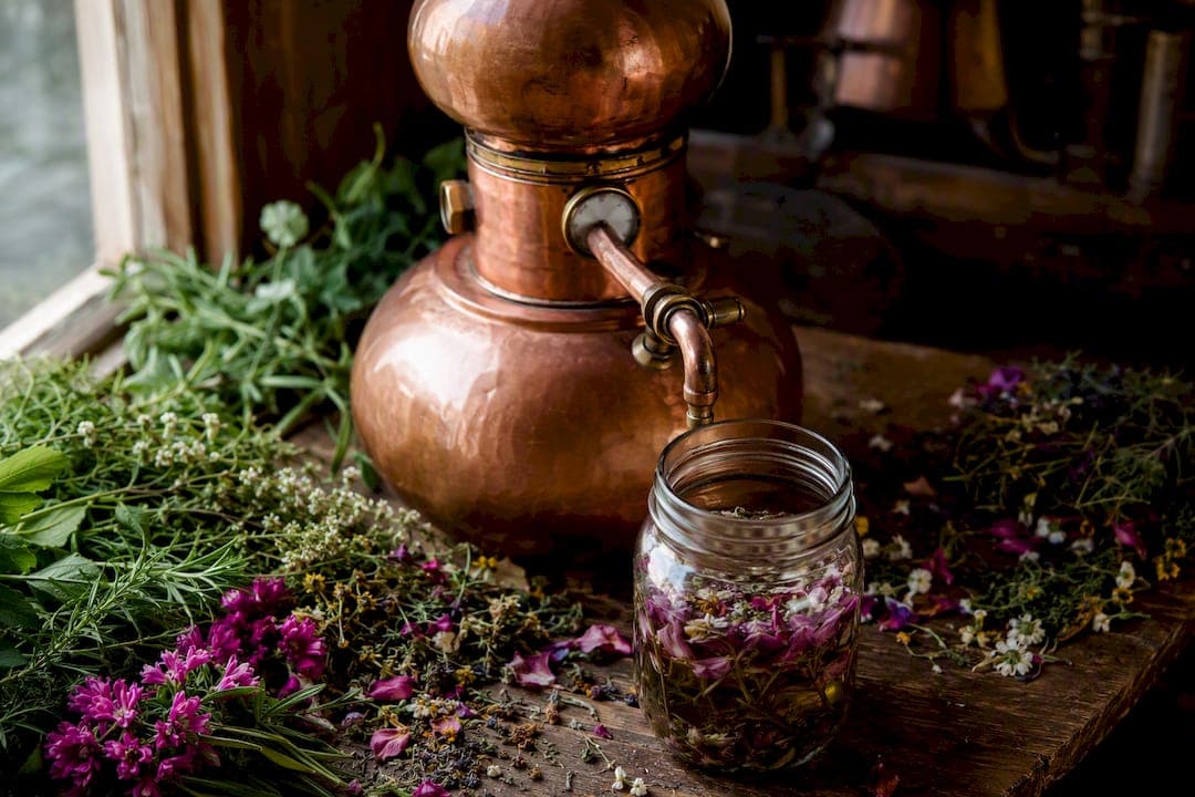 Distillation de gin floral avec des fleurs et un alambic